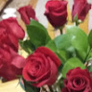 Meet your Posher, Margaret